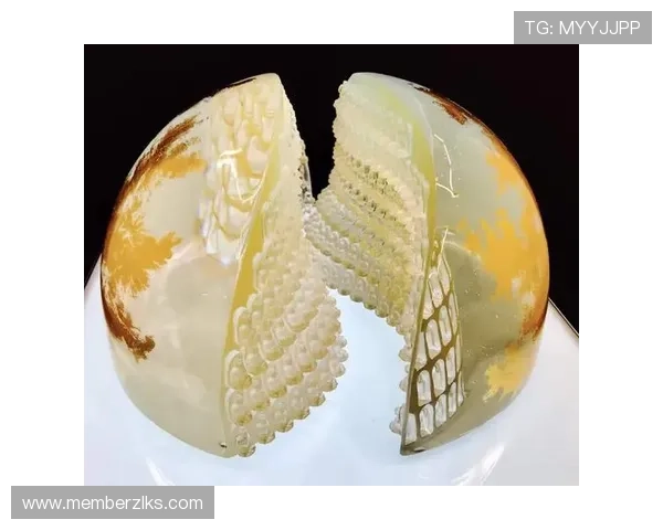 探索尊龙凯时人生就是搏网址：开启你人生新篇章的无限可能